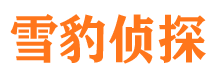 泰安市私家侦探公司